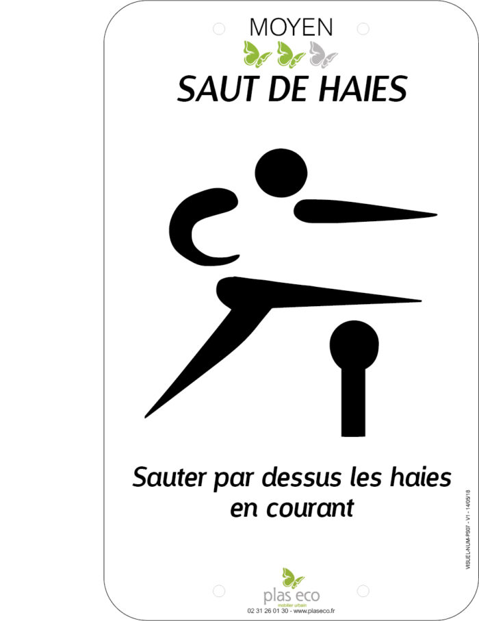 SAUT_DE_HAIES