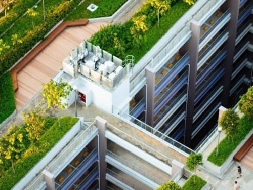 La végétalisation urbaine