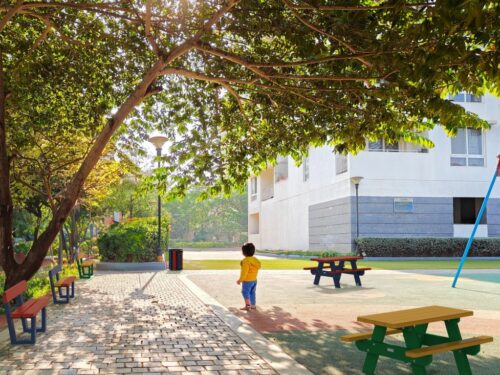 Réinventez les Cours d’École avec le Programme OASIS